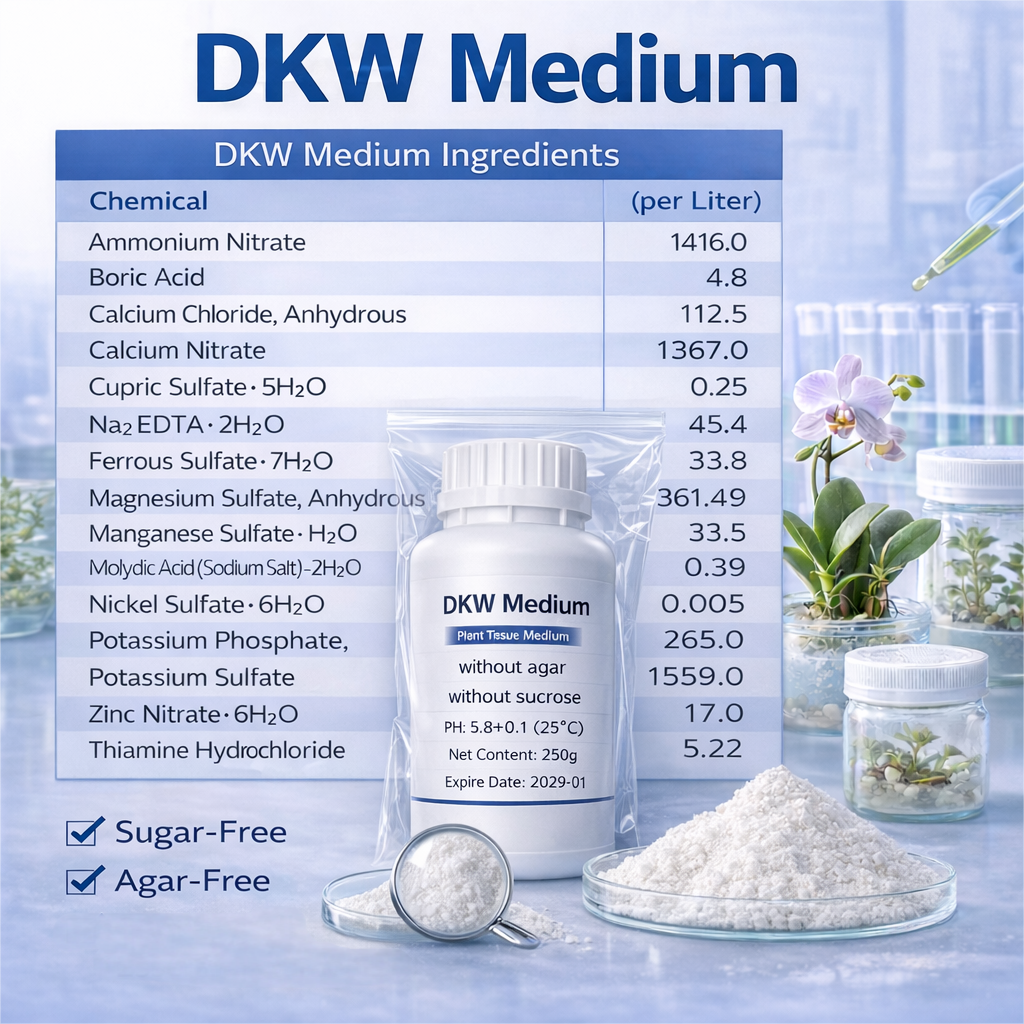 DKW Medium Plant Tissue Cultur - Agar Tissue Culture recensione e prezzo