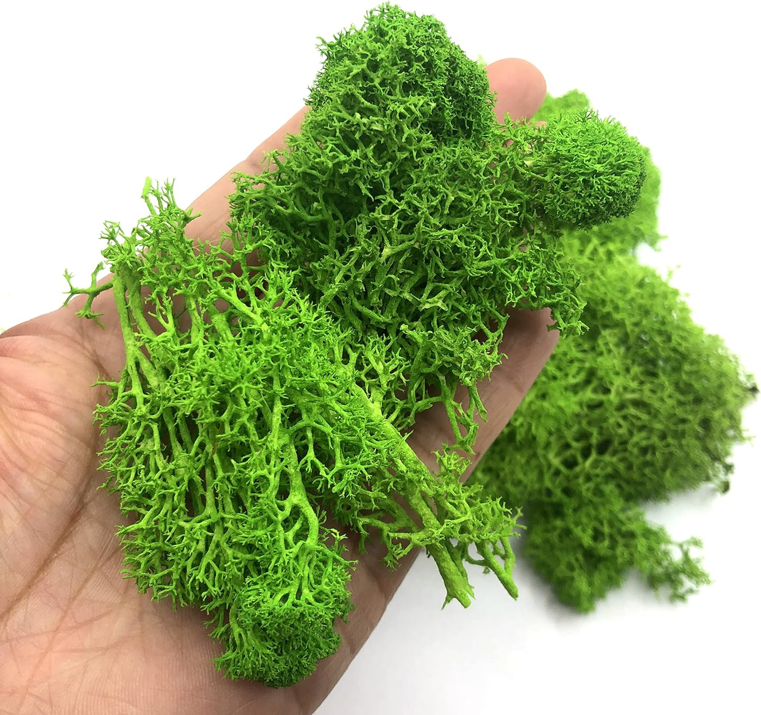 200g Artificial Green Plants M - Sphagnum Moss Dry recensione e prezzo
