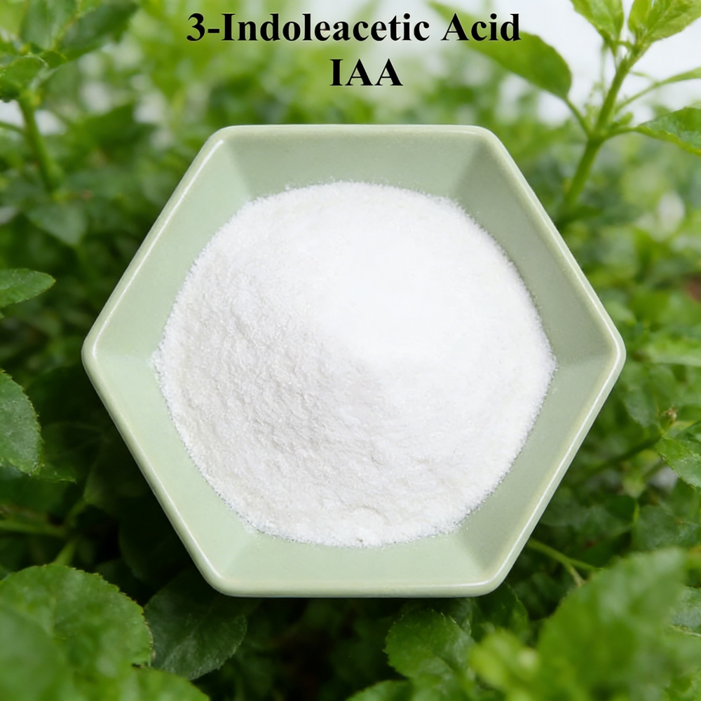 3-indoleacetic Acid IAA Auxina - Rooting Hormone Powder recensione e prezzo