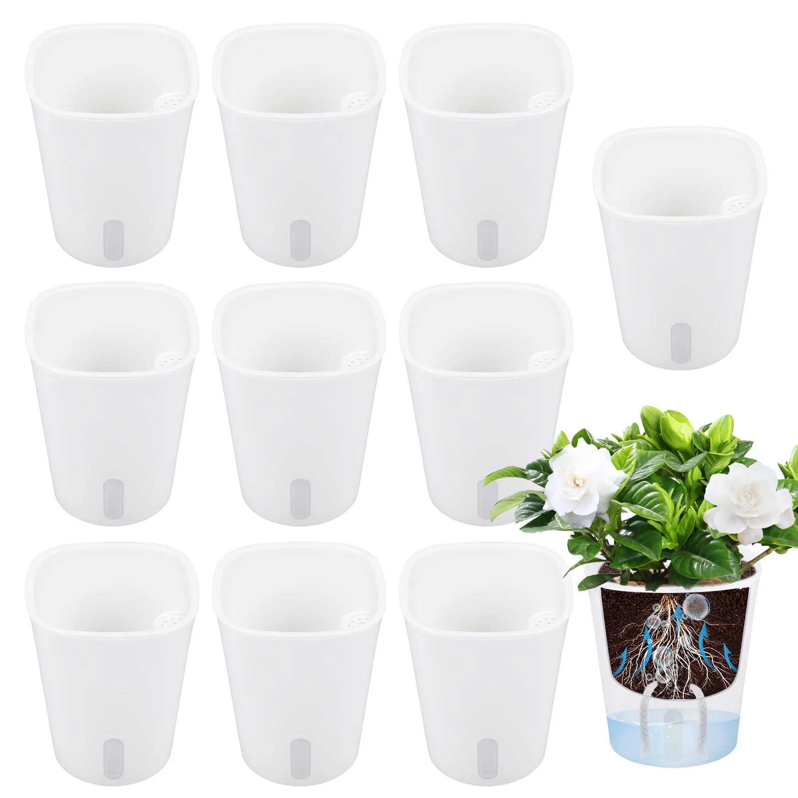 10 Pcs Self Watering Planter L - Self Watering Insert recensione e prezzo