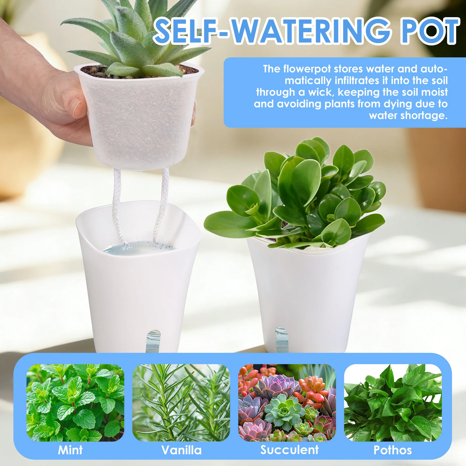 10 Pcs Self Watering Planter L - Self Watering Insert recensione e prezzo