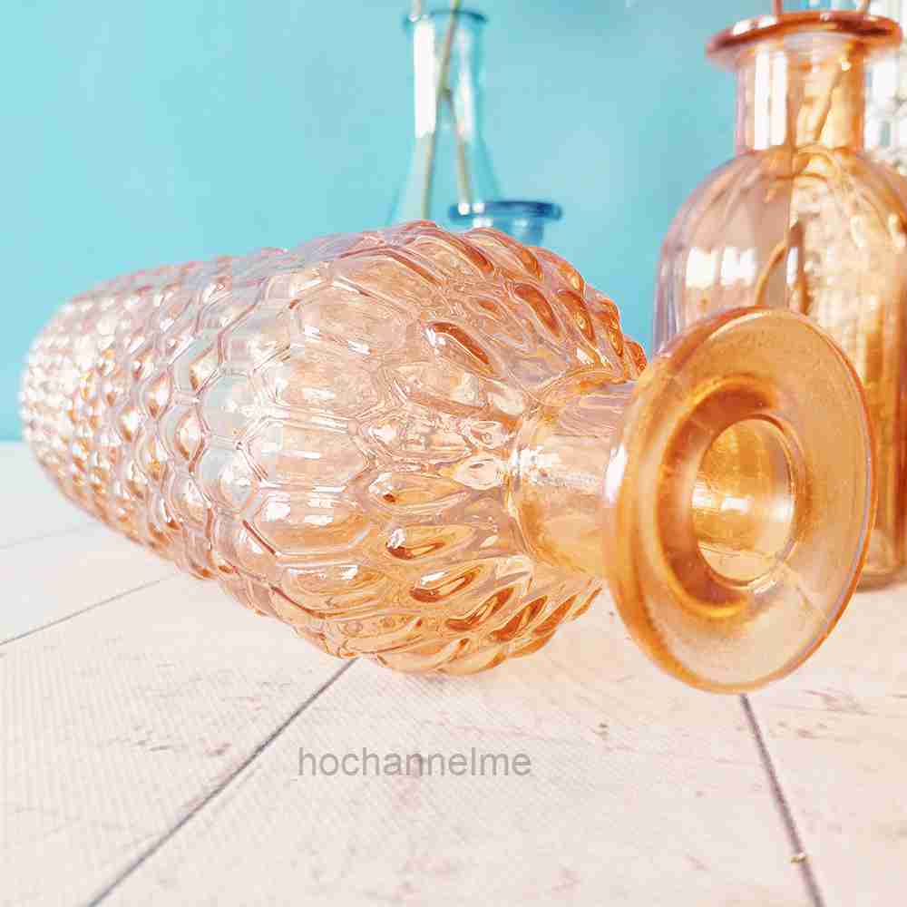 Glass Vase Living Room Decorat - Propagation Station Vase recensione e prezzo