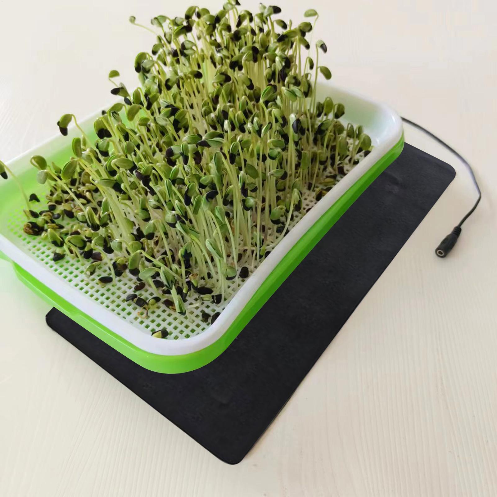 8.5W Seedling Heat Mat 5V 2A P - Heat Mat Seedling recensione e prezzo