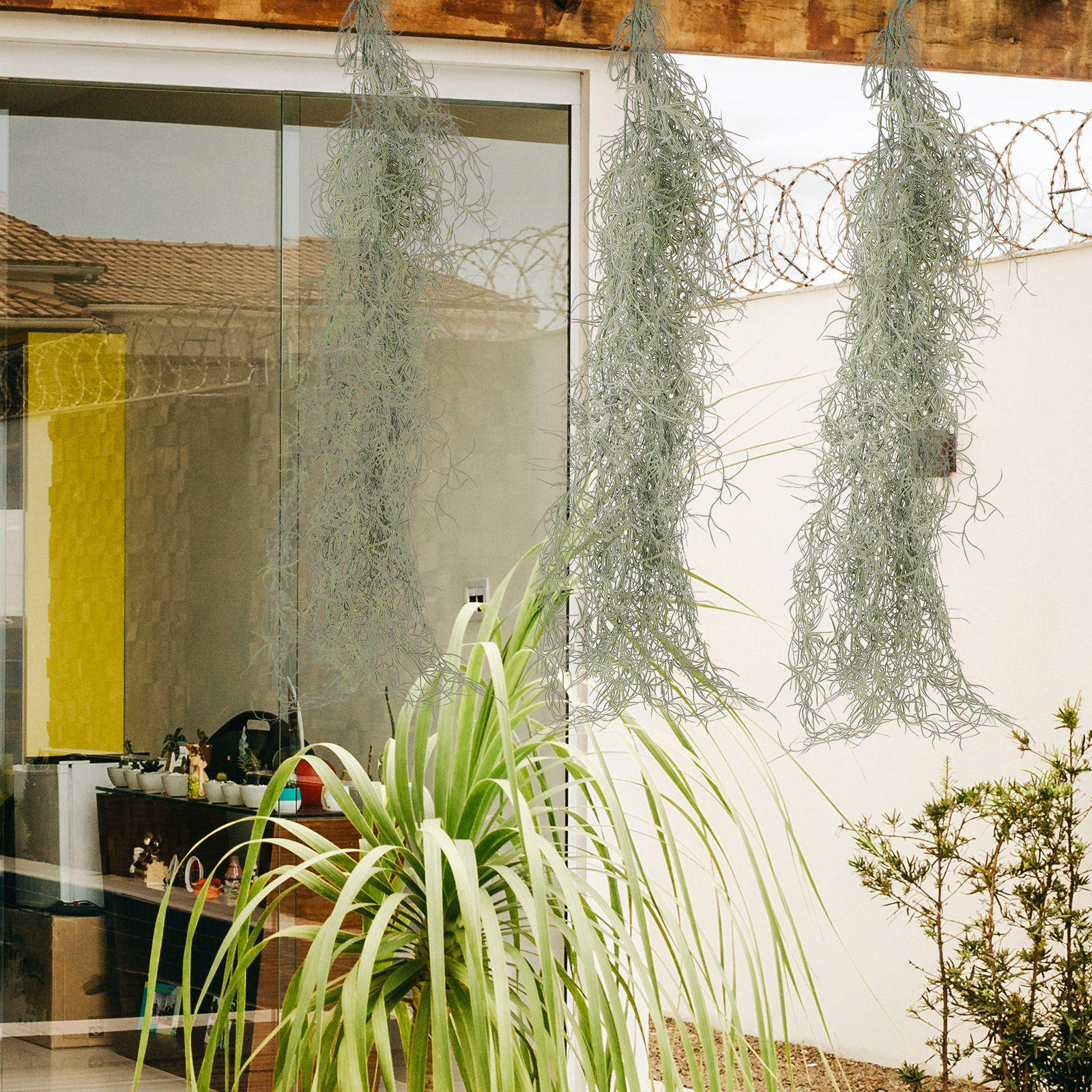 Hanging Moss Decor Artificial  - Sphagnum Moss Dry recensione e prezzo