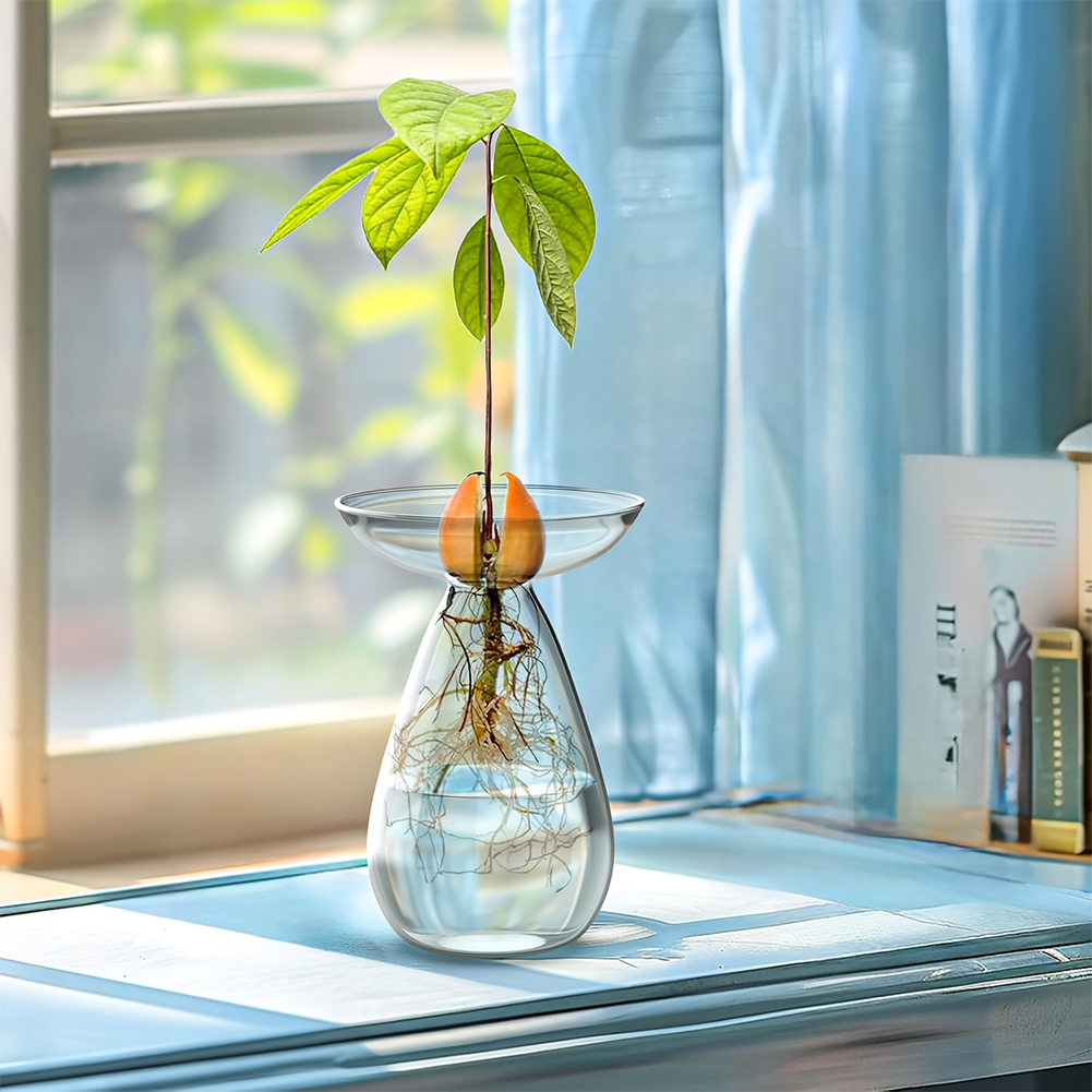 Avocado Seed Starter Vase Tran - Propagation Station Vase recensione e prezzo