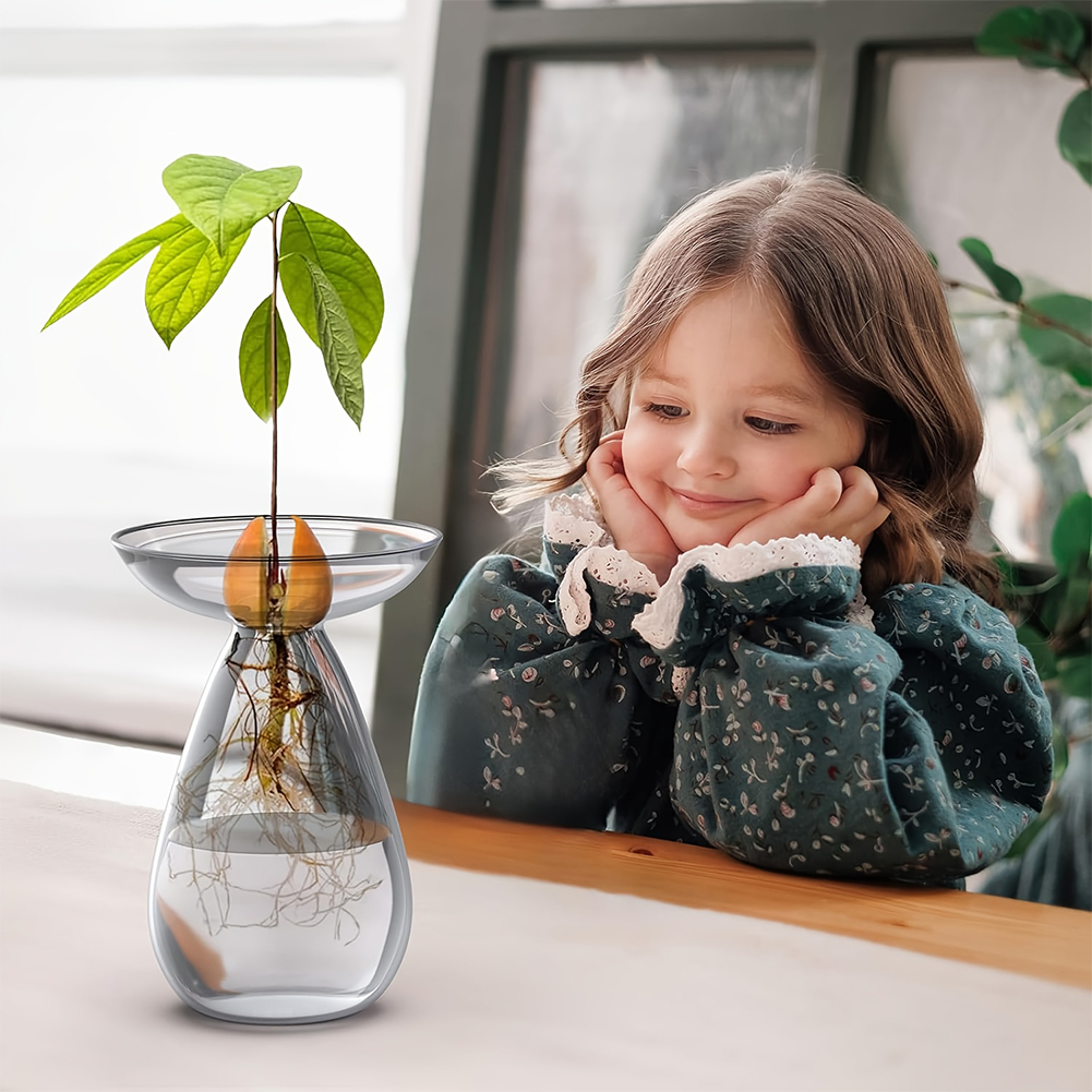 Avocado Seed Starter Vase Tran - Propagation Station Vase recensione e prezzo