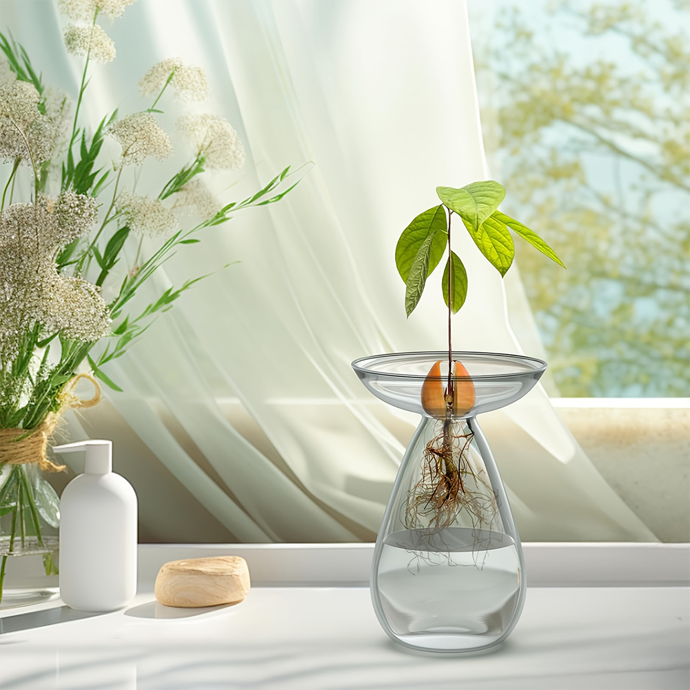 Avocado Seed Starter Vase Tran - Propagation Station Vase recensione e prezzo