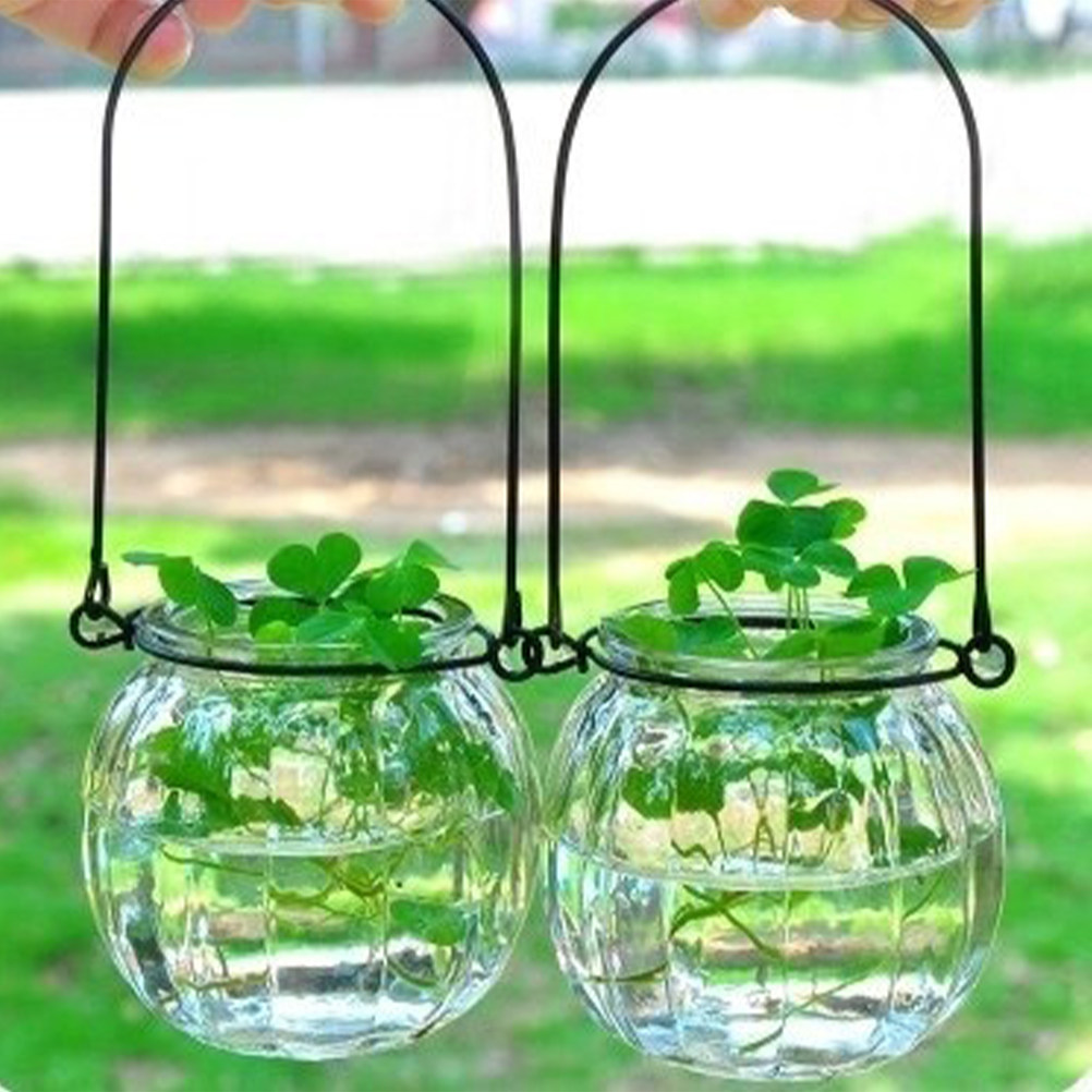 6Pcs Clear Glass Wall Planters - Propagation Station Vase recensione e prezzo