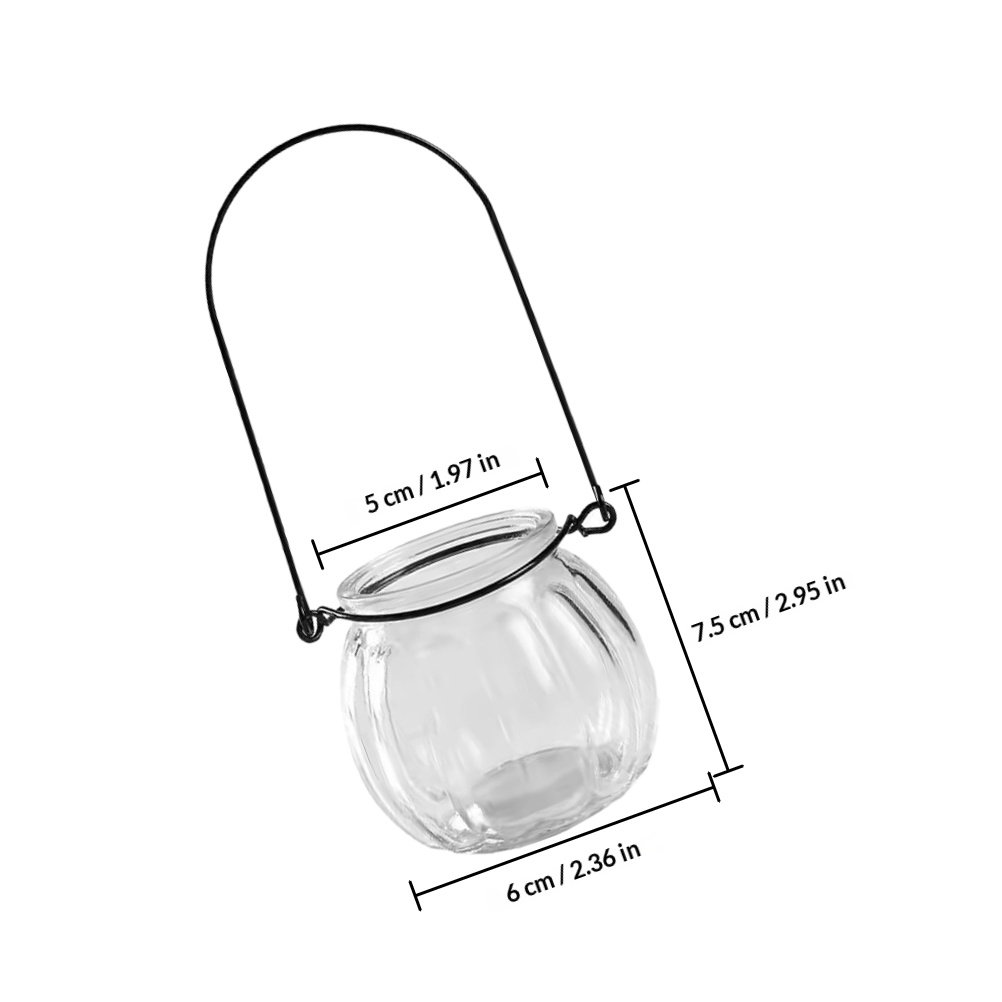 6Pcs Clear Glass Wall Planters - Propagation Station Vase recensione e prezzo