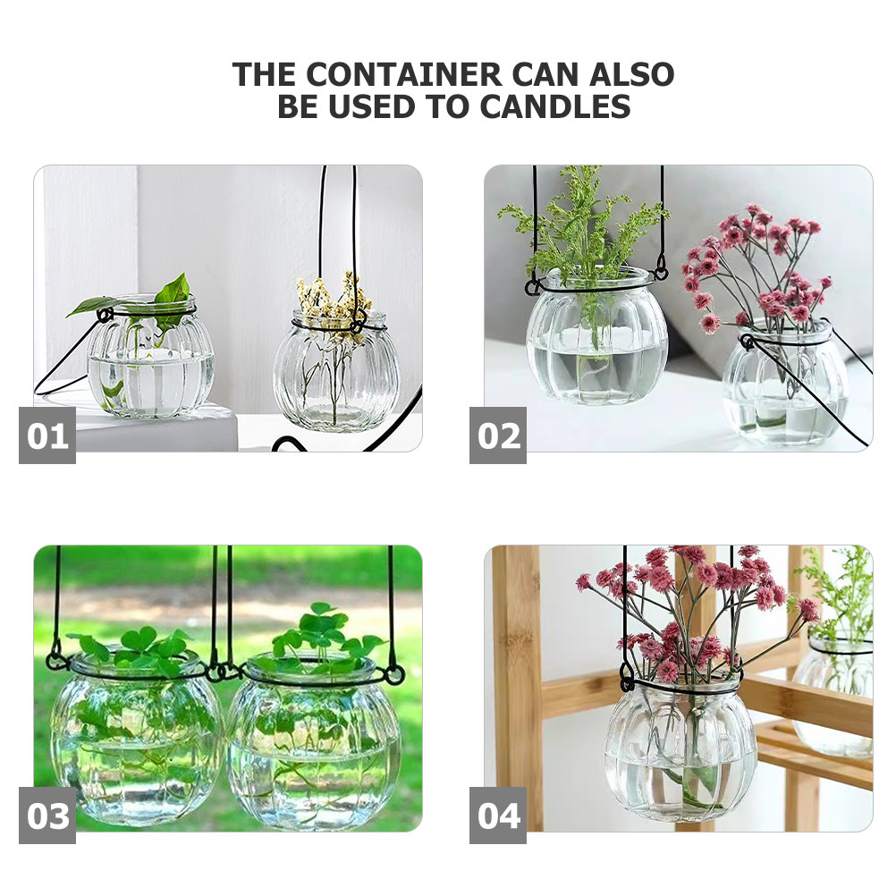 6Pcs Clear Glass Wall Planters - Propagation Station Vase recensione e prezzo