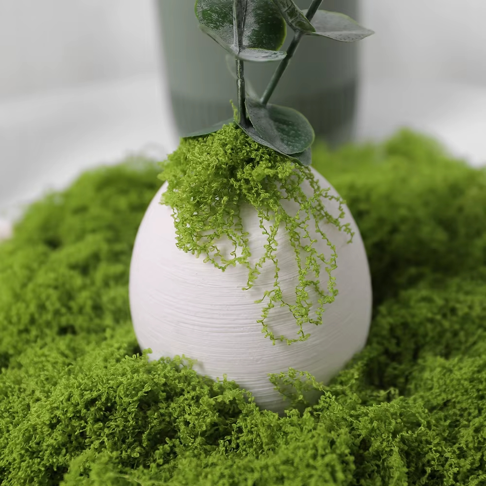 30/100g Artificial Green Plant - Sphagnum Moss Dry recensione e prezzo