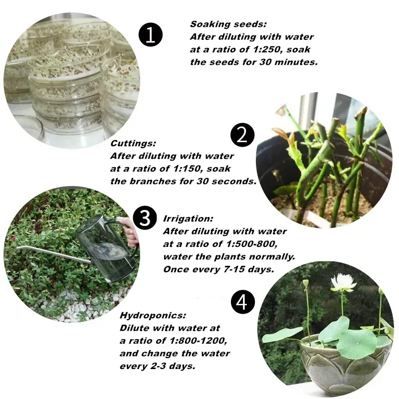 10g Quickly Rooting Powder Hor - Rooting Hormone Powder recensione e prezzo