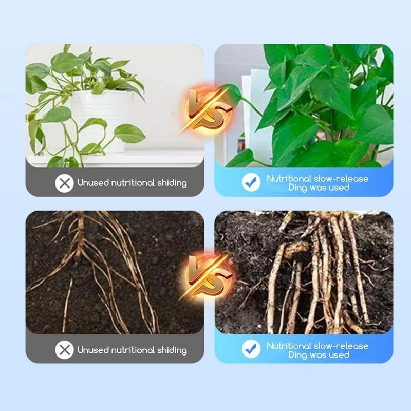 2bags Rooting Hormone Powder U - Rooting Hormone Powder recensione e prezzo
