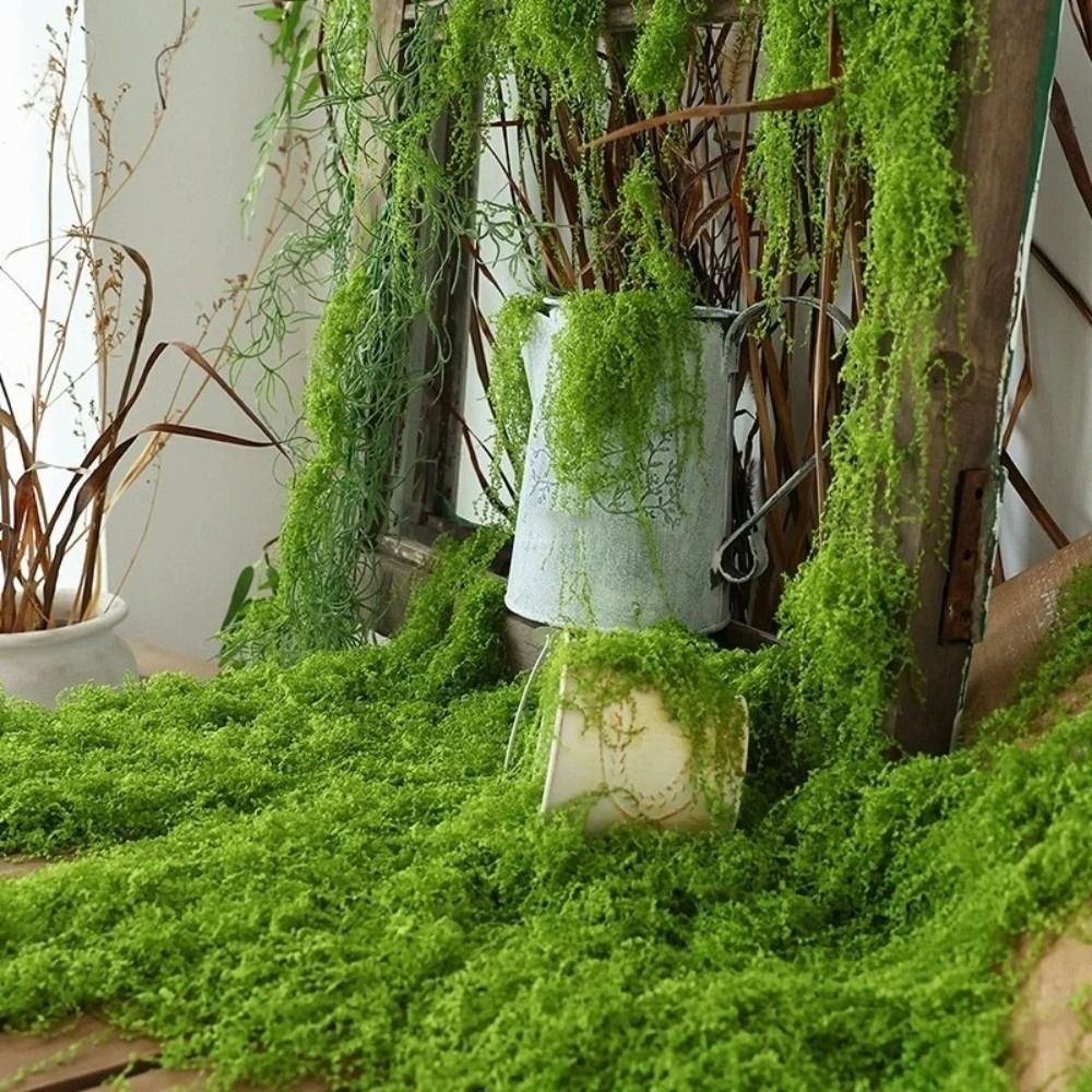 DIY Artificial Grass Rug Durab - Sphagnum Moss Dry recensione e prezzo
