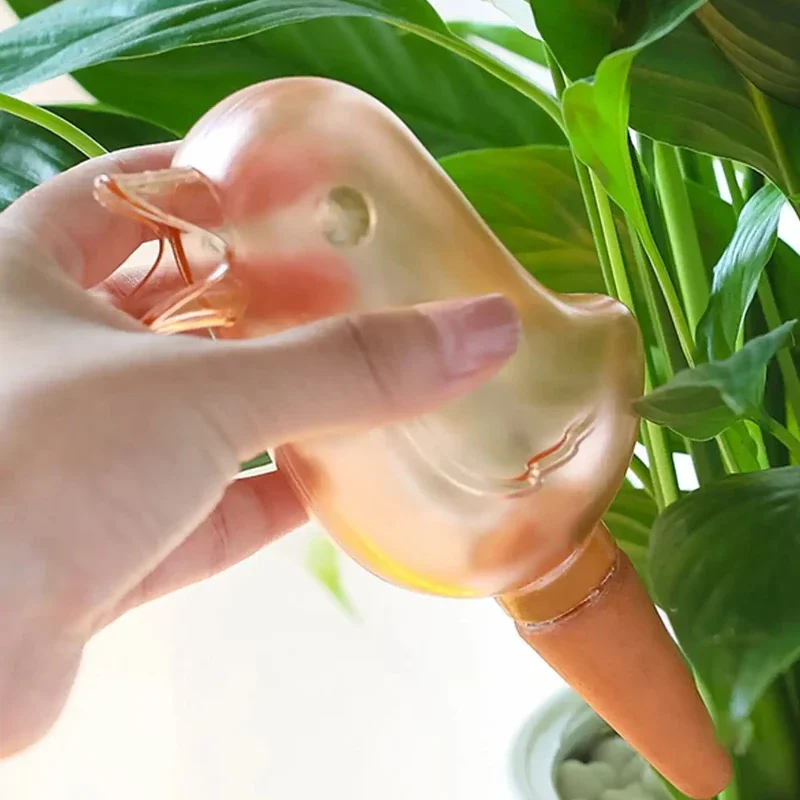 High quality automatic flower  - Self Watering Insert recensione e prezzo