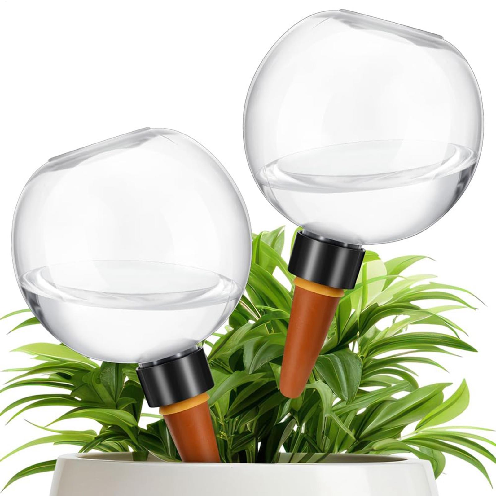 500ml Automatic Plant Watering - Self Watering Insert recensione e prezzo