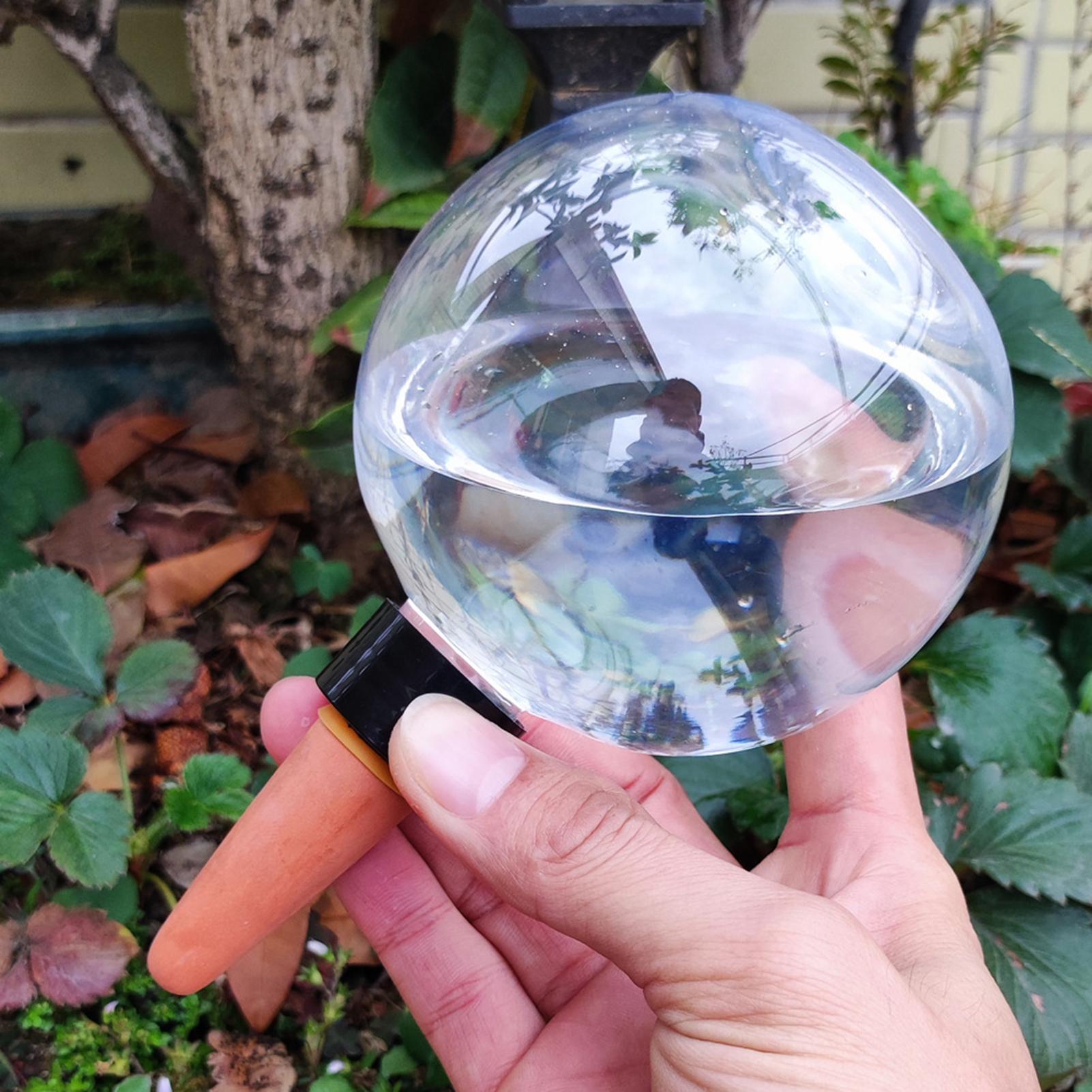 500ml Automatic Plant Watering - Self Watering Insert recensione e prezzo