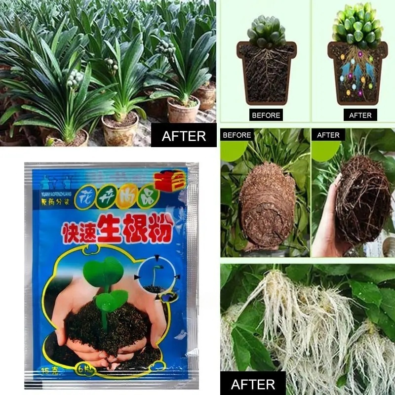 5pcs Fast Rooting Powder Plant - Rooting Hormone Powder recensione e prezzo