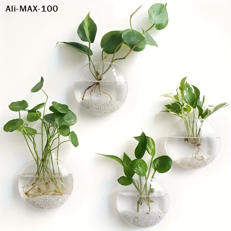 【MA3】Wall Hanging Glass Plant  - Propagation Station Vase recensione e prezzo