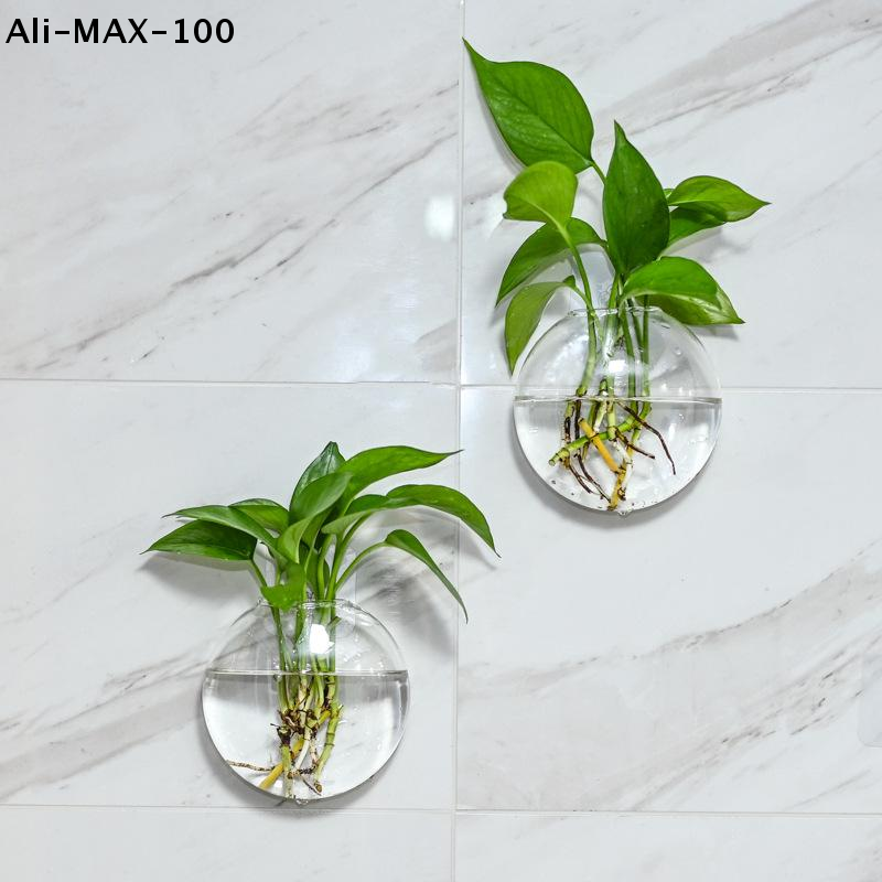 【MA3】Wall Hanging Glass Plant  - Propagation Station Vase recensione e prezzo