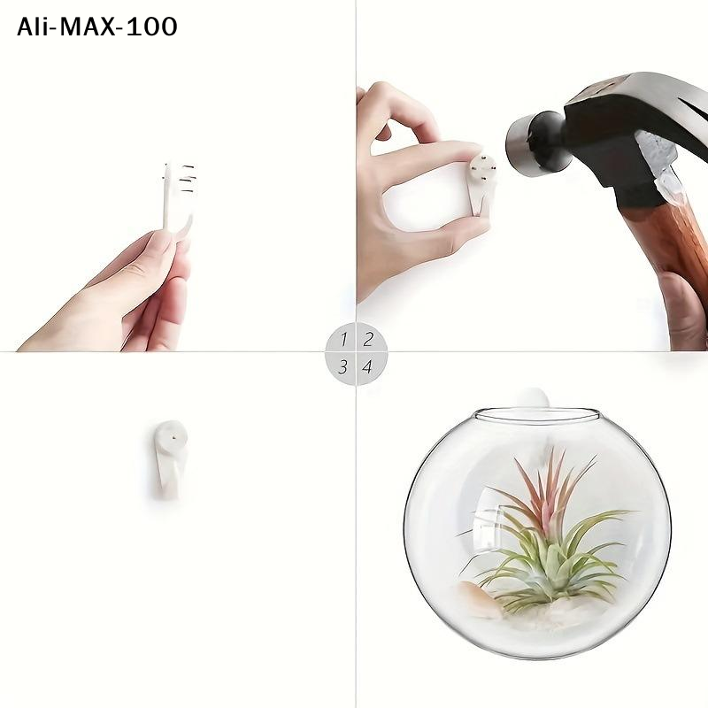 【MA3】Wall Hanging Glass Plant  - Propagation Station Vase recensione e prezzo