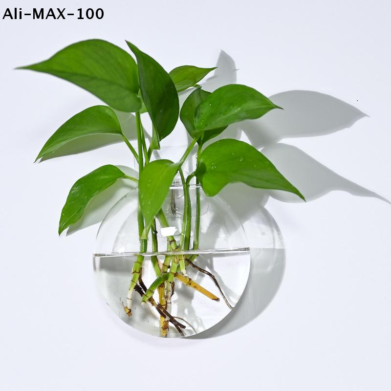 【MA3】Wall Hanging Glass Plant  - Propagation Station Vase recensione e prezzo