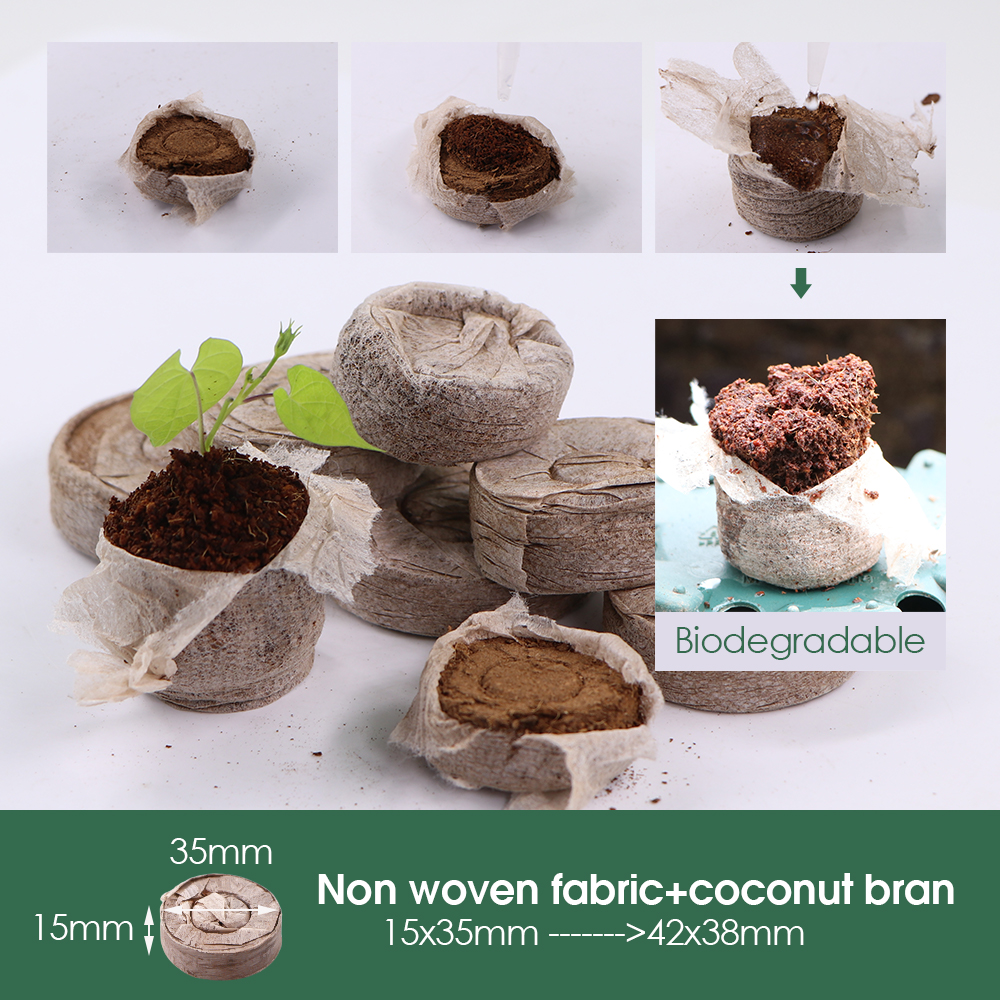 10 Cells Seedling Trays Germin - Peat Pellet Tray recensione e prezzo