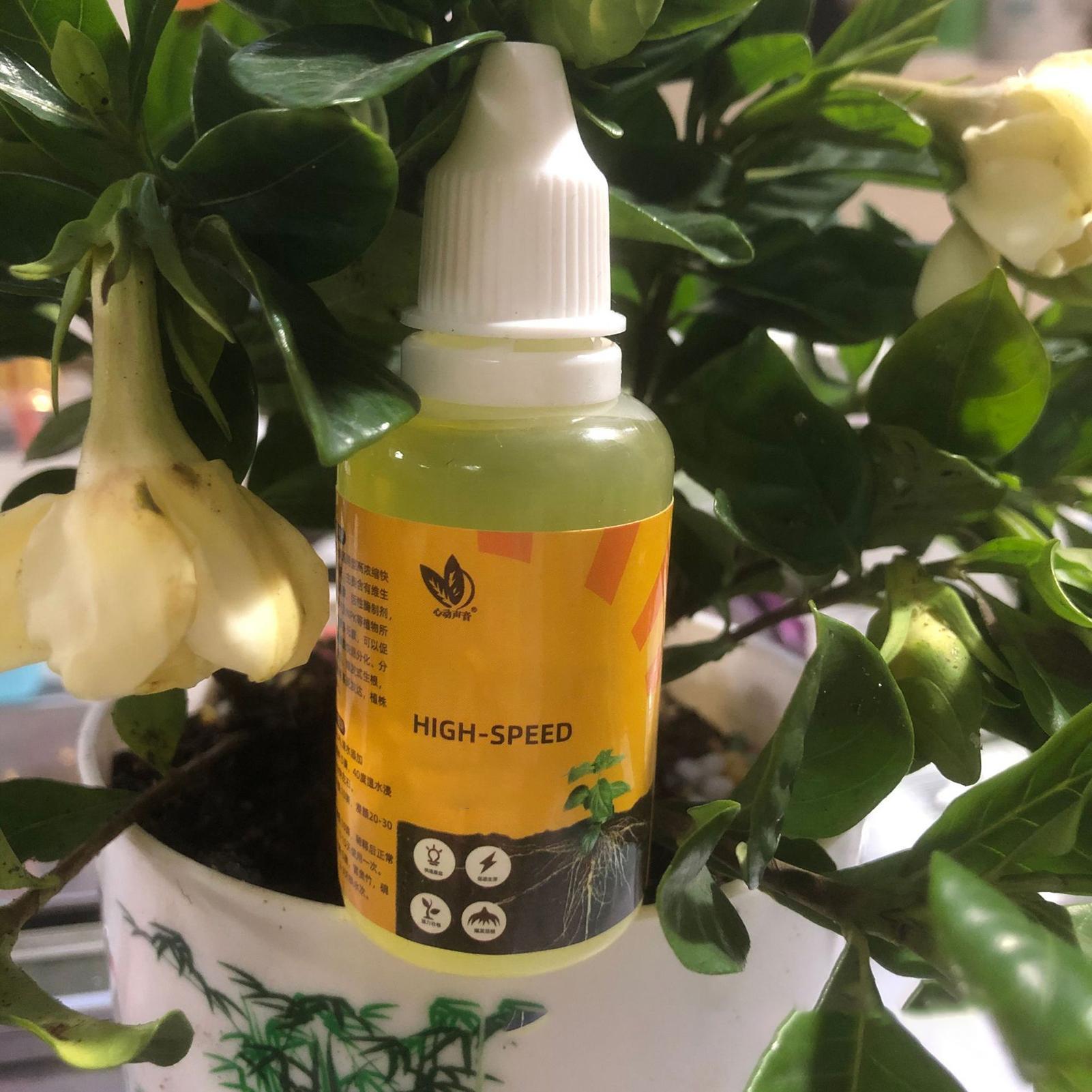 Fast Potting Rooting Plant Nut - Root Stimulator Liquid recensione e prezzo