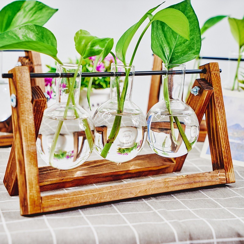Tabletop Glass Planter Propaga - Propagation Station Vase recensione e prezzo