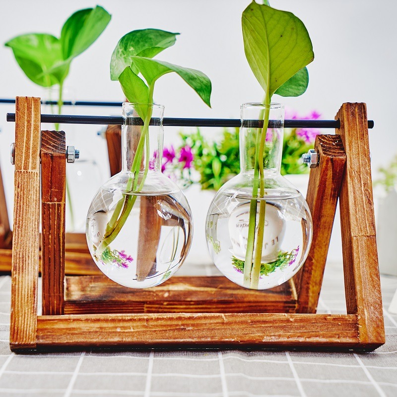 Tabletop Glass Planter Propaga - Propagation Station Vase recensione e prezzo