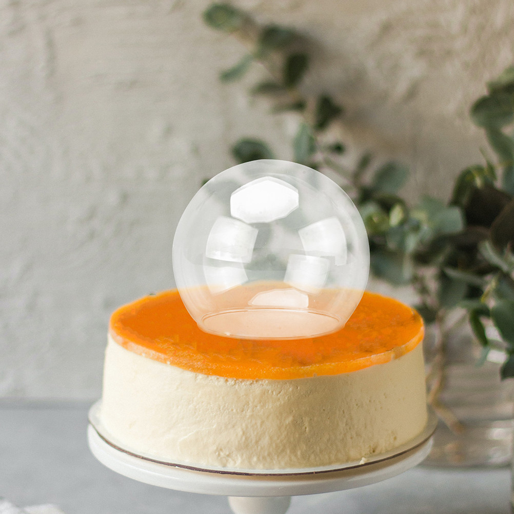 2Pcs Clear Glass Dome Display  - Plastic Dome Clear recensione e prezzo