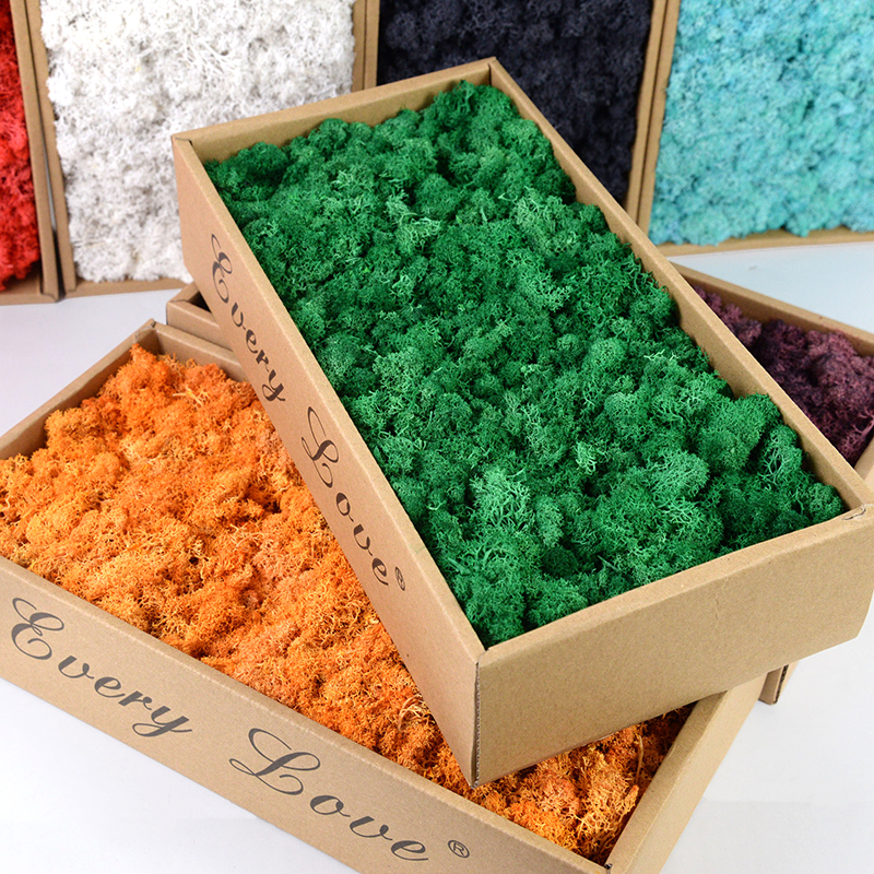 40/20g Artificial Moss Grass G - Sphagnum Moss Dry recensione e prezzo