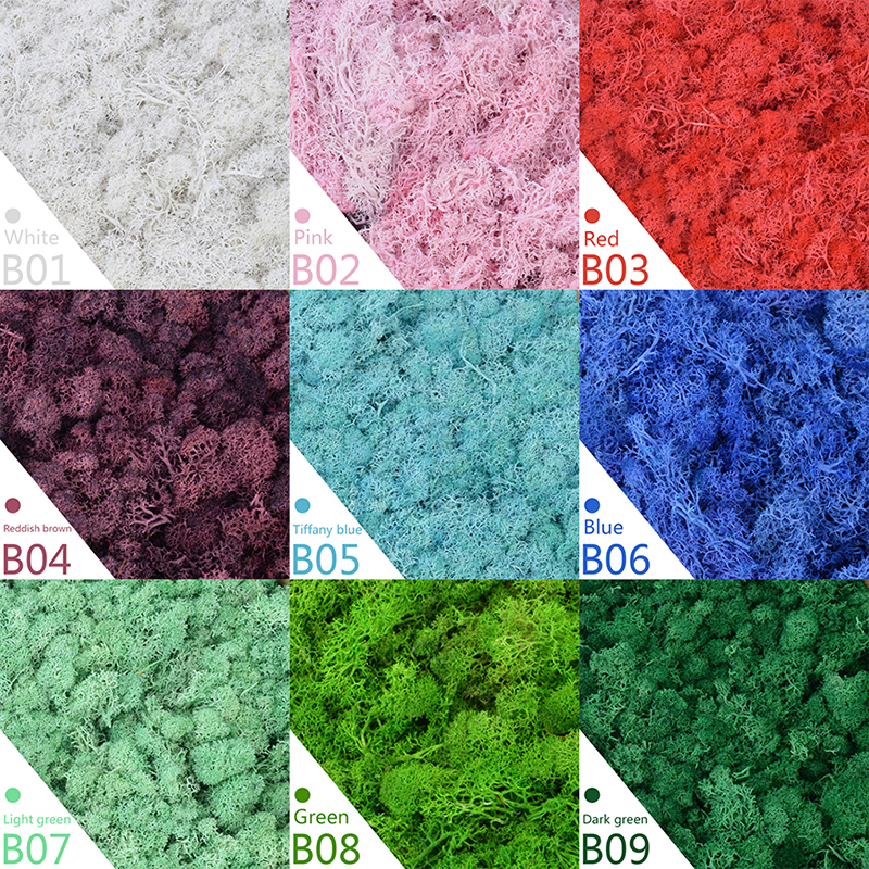 40/20g Artificial Moss Grass G - Sphagnum Moss Dry recensione e prezzo