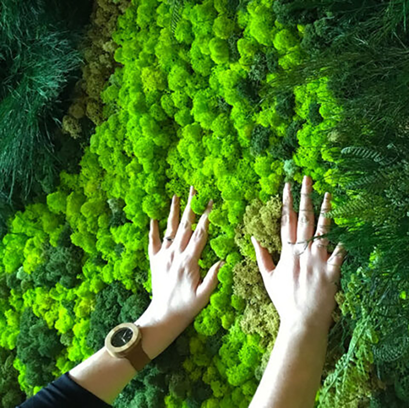 40/20g Artificial Moss Grass G - Sphagnum Moss Dry recensione e prezzo