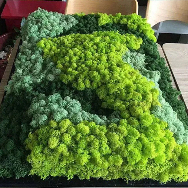 40/20g Artificial Moss Grass G - Sphagnum Moss Dry recensione e prezzo