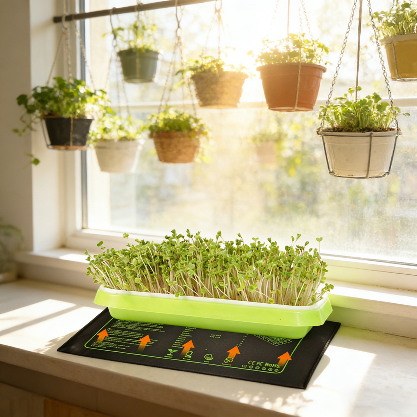Waterproof Seedling Heat Mat 1 - Heat Mat Seedling recensione e prezzo