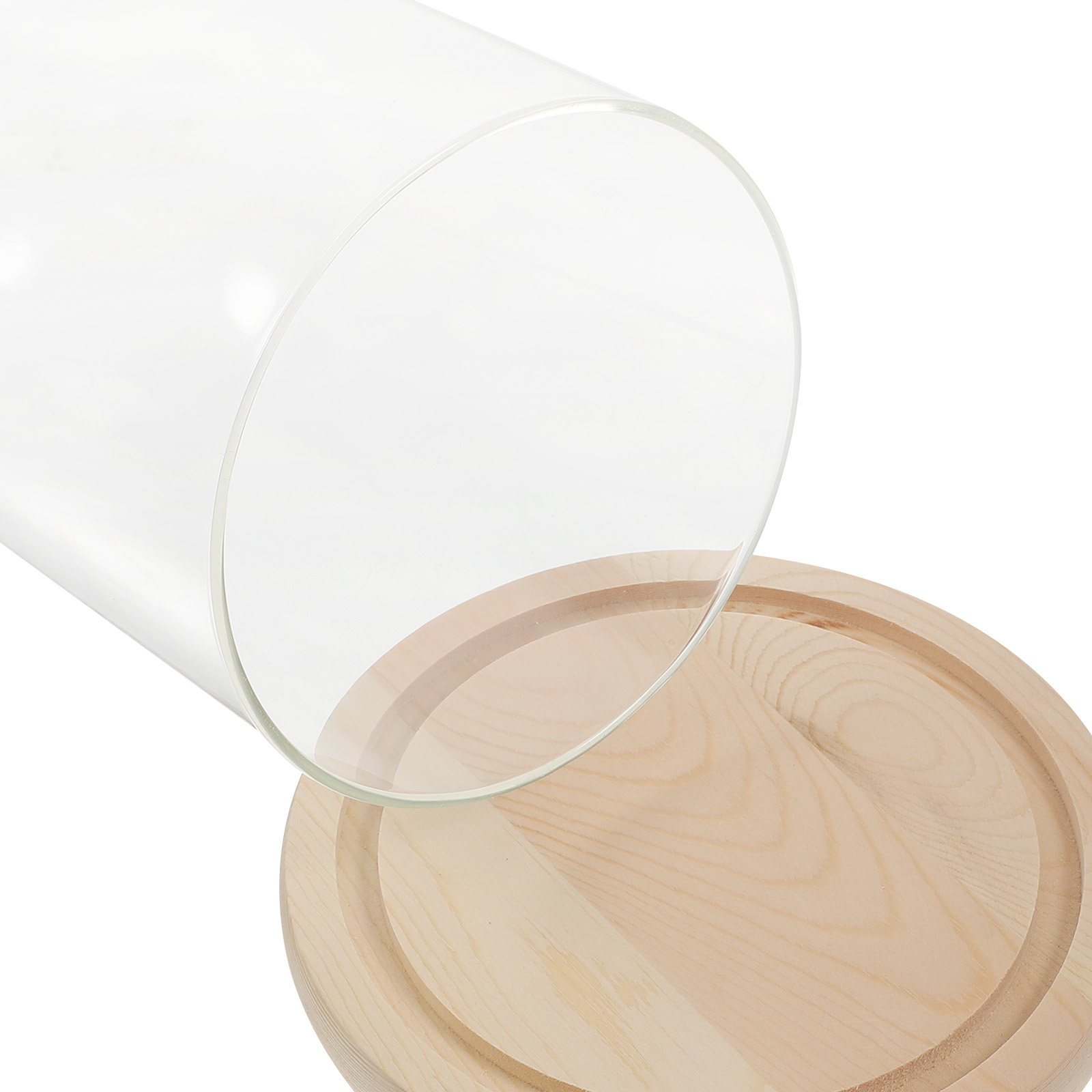 Glass Dome Display Case with B - Plastic Dome Clear recensione e prezzo