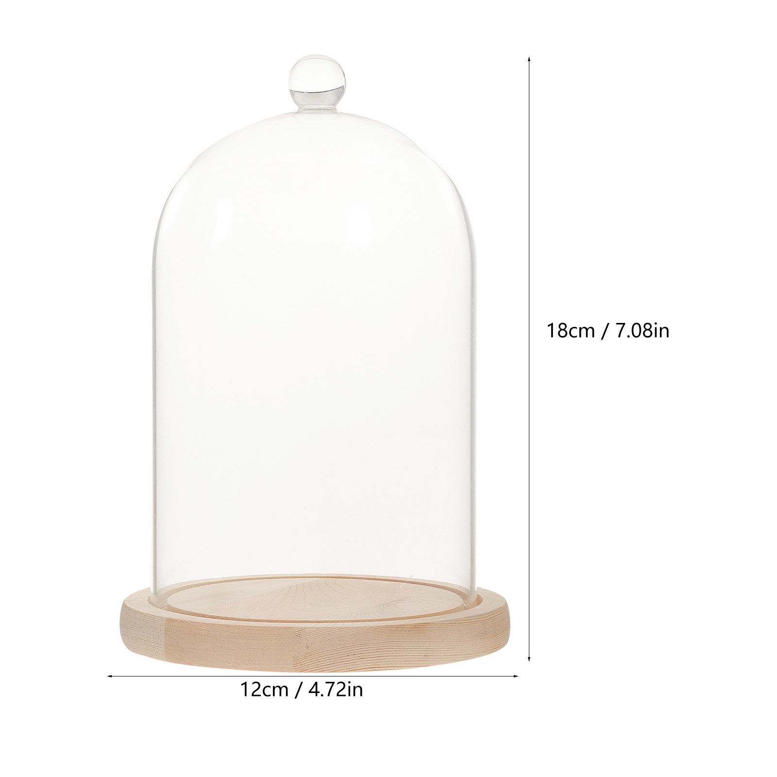 Glass Dome Display Case with B - Plastic Dome Clear recensione e prezzo