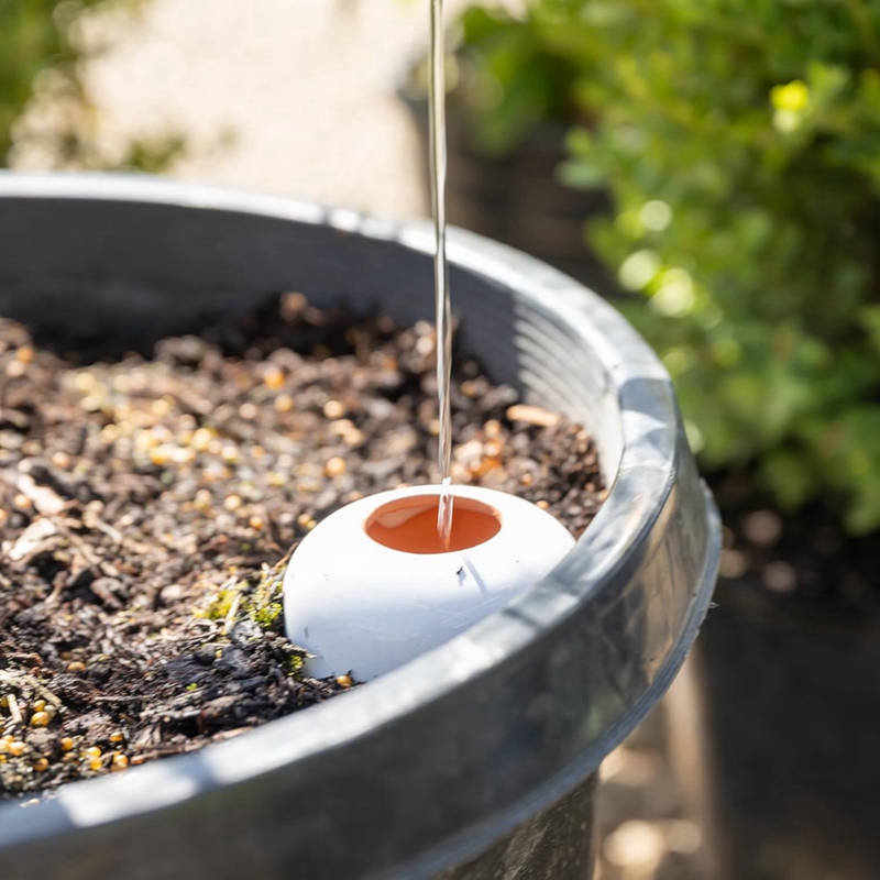 Plant Watering Ball, Terracott - Self Watering Insert recensione e prezzo
